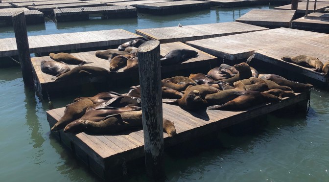 State # 17 – California