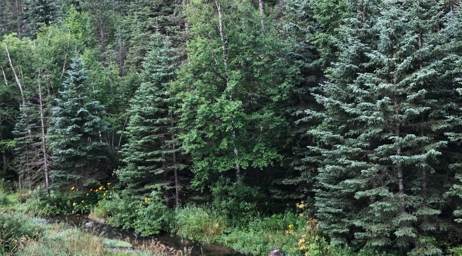 State # 18 – South Dakota